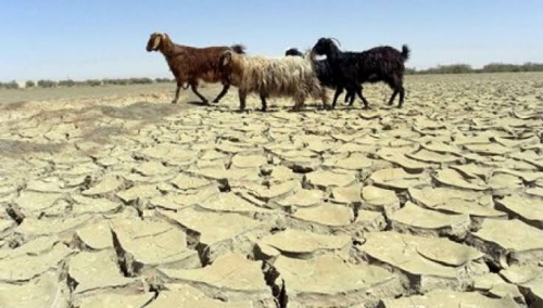 قحطی سال ۱۳۴۹ (سال بنگلادیش) در افغانستان   به پای صحبت‌های پیرمردی نشستم. پیرمرد ساکن جاغوری به‌نام